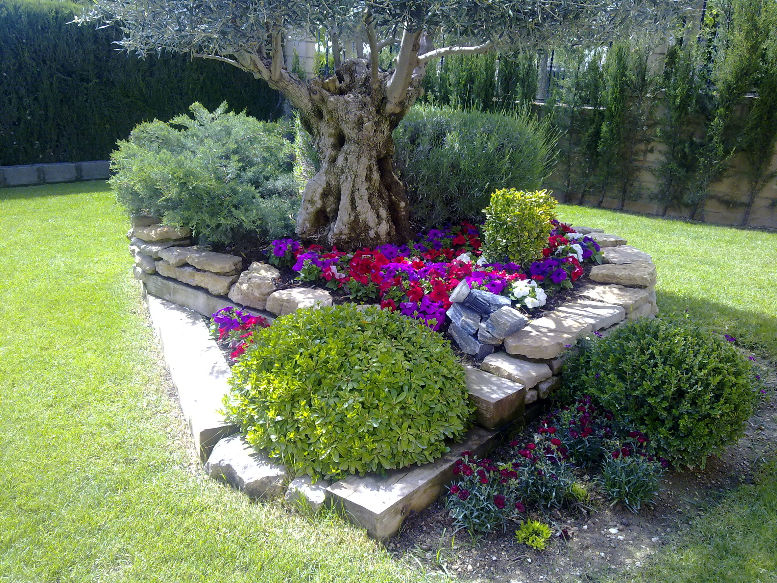 Jara Jardinería, obras y servicios