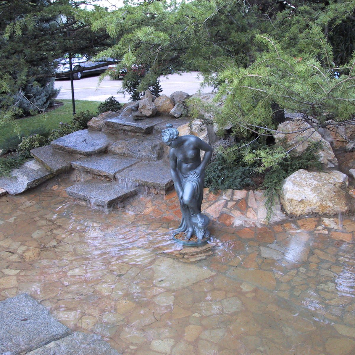 Mantenimiento de estanques en Zaragoza