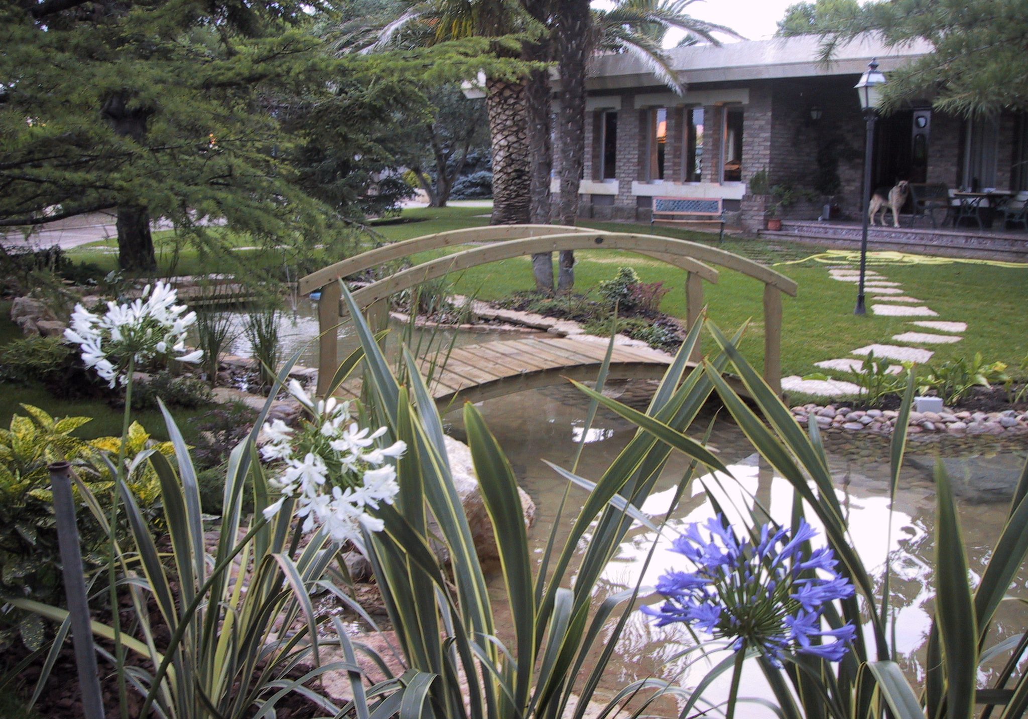 Quién es Jara Jardineria